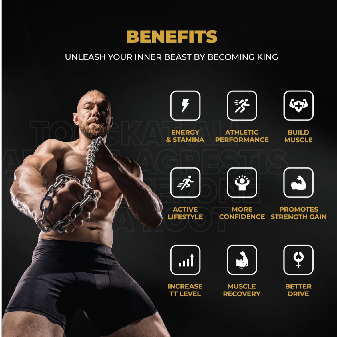 energy. stamina, athletic performance, build muscle, active lifestyle, more confidence, promotes strength gain, increase Testosterone level, muscle recovery, better drive, better blood flow 