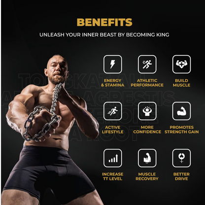 energy. stamina, athletic performance, build muscle, active lifestyle, more confidence, promotes strength gain, increase Testosterone level, muscle recovery, better drive, better blood flow 